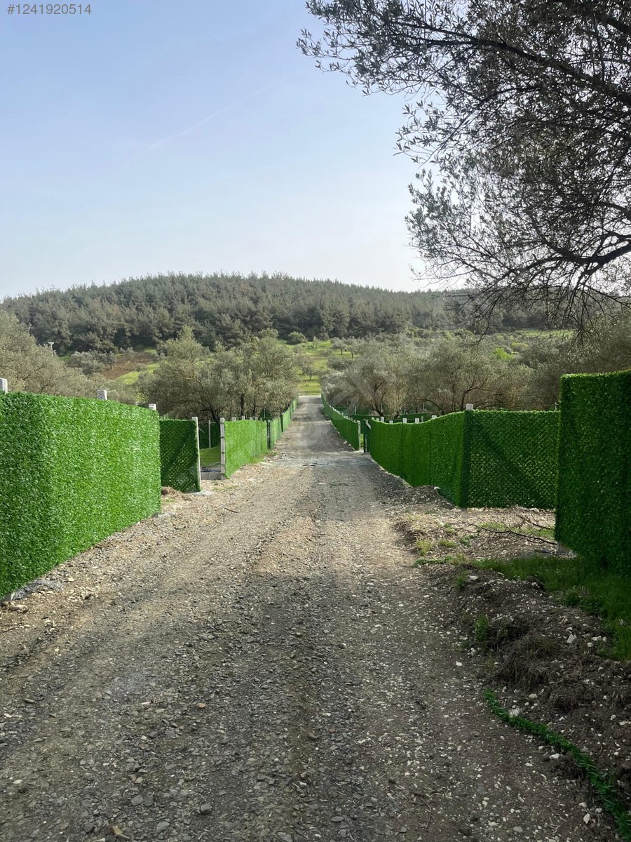 İZMİR-ALİAĞA-BOZKÖY’DE TARLA’NIN 300 M² ‘Sİ SATILIKTIR - İZMİR ALİAĞA fotoğraf 31